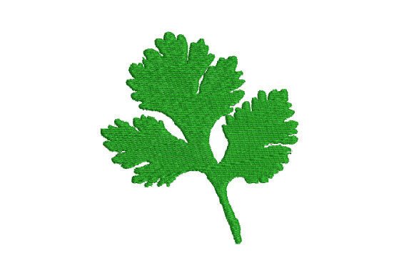 Coriander Embroidery Design Review
