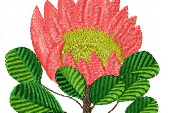 Protea Rose: A Designer’s Real-World Embroidery Review