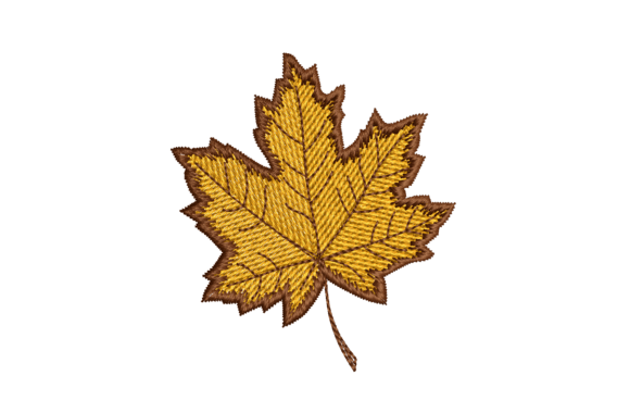 Аutumn Maple Leaf